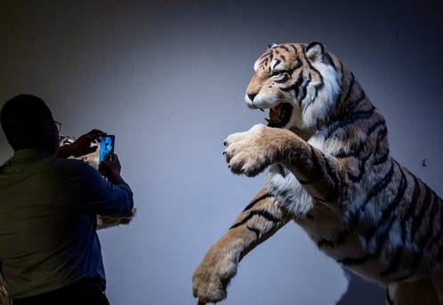 2025全国主流媒体滨州行|看全国主流媒体镜头里滨州文化赋能